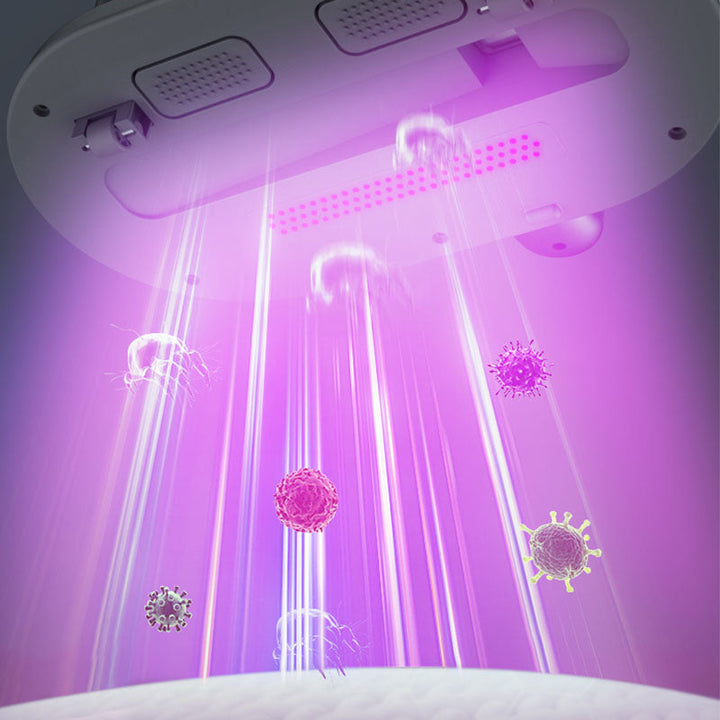 Anti-Mite madrasstøvsuger