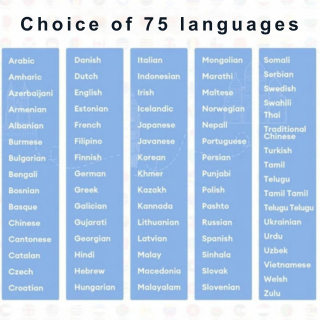 TranslateBuds (iOS & Android)